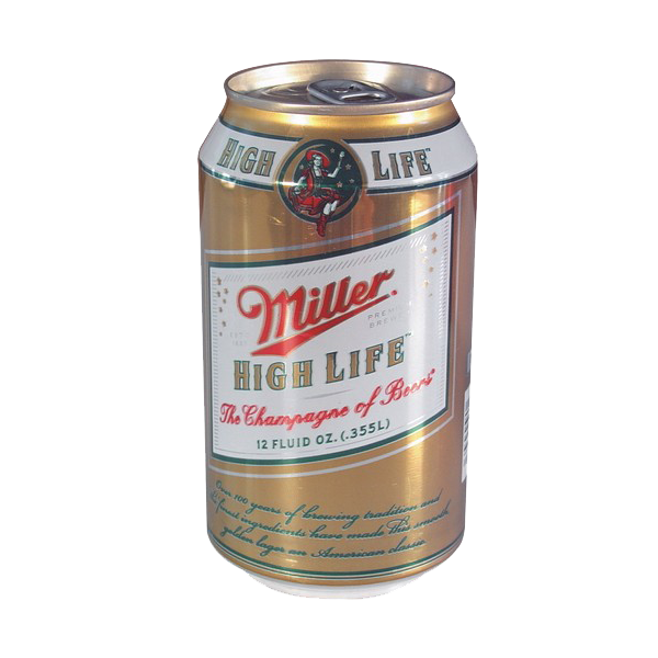 Beer Can Diversion Safe Security System